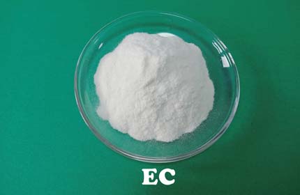 Etil Celulosa (EC)