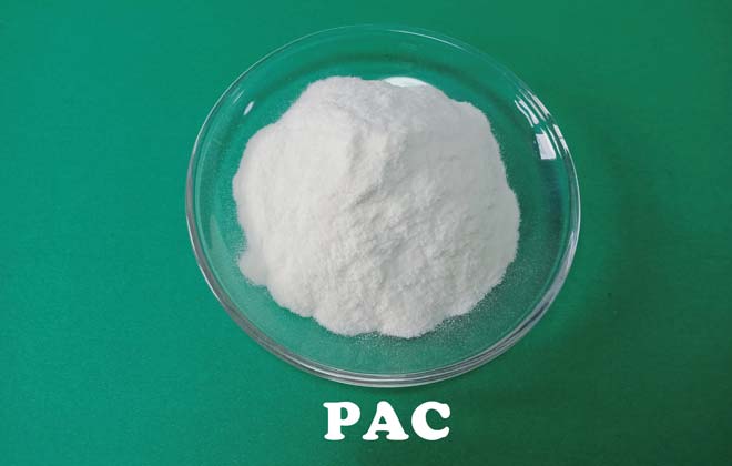 Celulosa polianiónica (PAC)